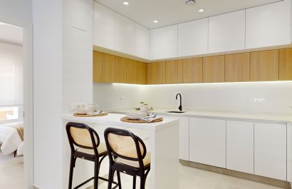 New Build - ground-floor - Guardamar del Segura