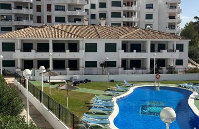 Nowy budynek - ground-floor - Orihuela