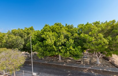 New Build - detached - Pilar de la Horadada