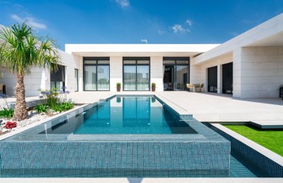 Nowy budynek - detached - Molina de Segura