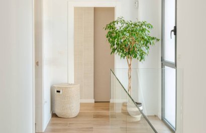 Nowy budynek - detached - Molina de Segura