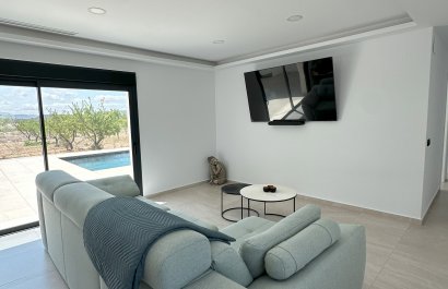 New Build - detached - Pinoso