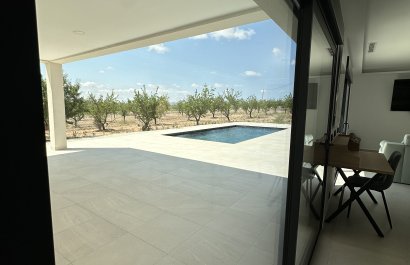 New Build - detached - Pinoso