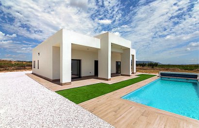 New Build - detached - Pinoso