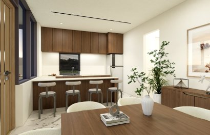 Nowy budynek - detached - Fuente Alamo