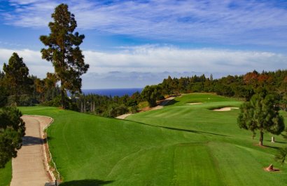 Nowy budynek - Daszek - Las Lagunas de Mijas