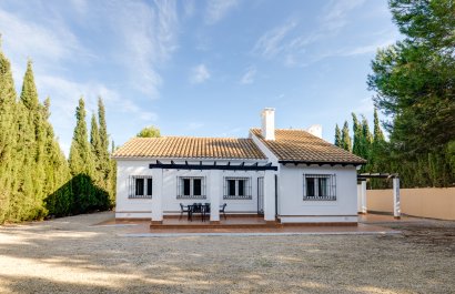 Új építés - detached - Fuente Alamo