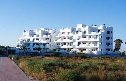 Új építés - ground-floor - Torre-Pacheco
