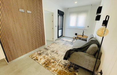 Nowy budynek - detached - Torrevieja