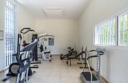 Nowy budynek - ground-floor - Vera