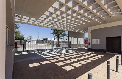 New Build - apartment - Vera